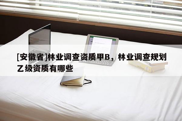 [安徽省]林业调查资质甲B，林业调查规划乙级资质有哪些