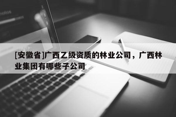 [安徽省]广西乙级资质的林业公司，广西林业集团有哪些子公司