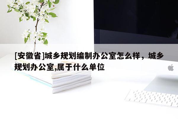 [安徽省]城乡规划编制办公室怎么样，城乡规划办公室,属于什么单位