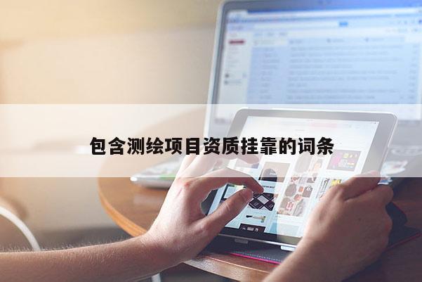 包含测绘项目资质挂靠的词条