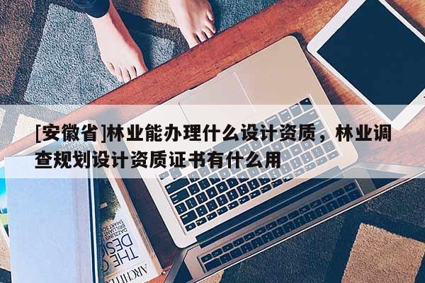[安徽省]林业能办理什么设计资质，林业调查规划设计资质证书有什么用
