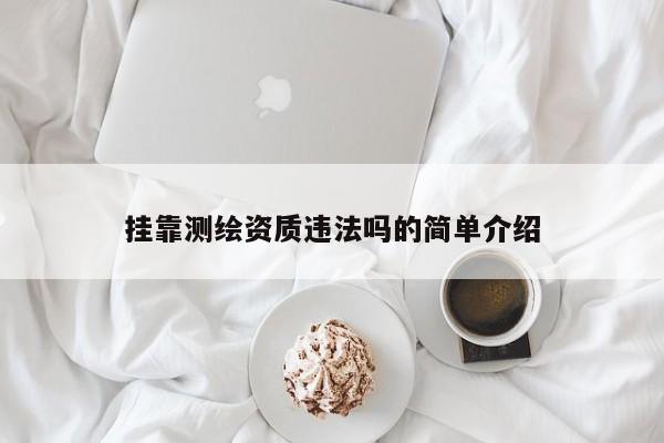  *** 测绘资质违法吗的简单介绍