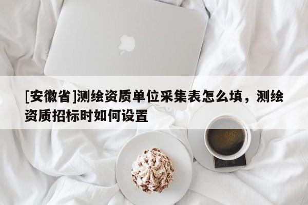 [安徽省]测绘资质单位采集表怎么填，测绘资质招标时如何设置