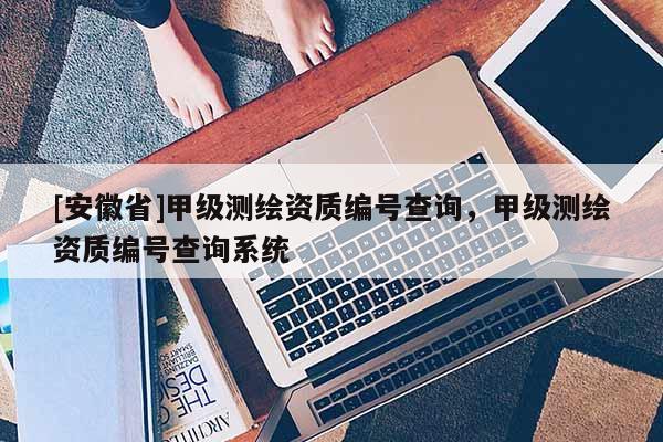 [安徽省]甲级测绘资质编号查询，甲级测绘资质编号查询系统