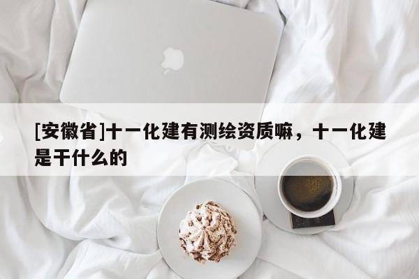 [安徽省]十一化建有测绘资质嘛，十一化建是干什么的
