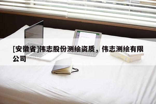 [安徽省]伟志股份测绘资质，伟志测绘有限公司