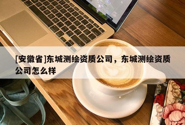 [安徽省]东城测绘资质公司，东城测绘资质公司怎么样