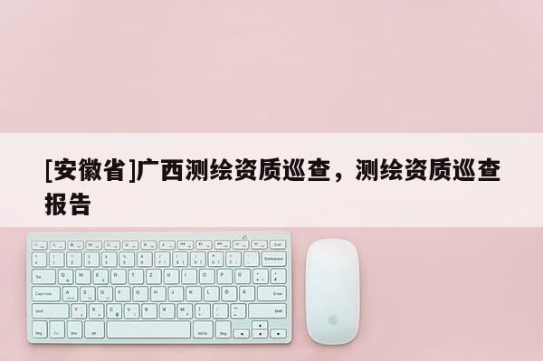 [安徽省]广西测绘资质巡查，测绘资质巡查报告