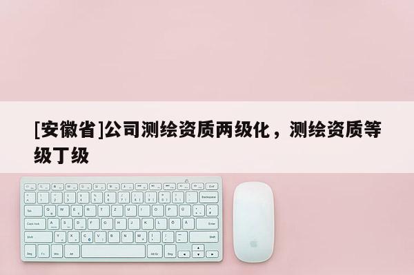[安徽省]公司测绘资质两级化，测绘资质等级丁级