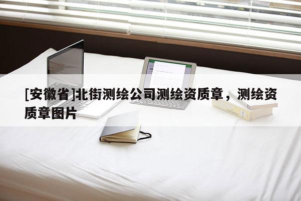 [安徽省]北街测绘公司测绘资质章，测绘资质章图片